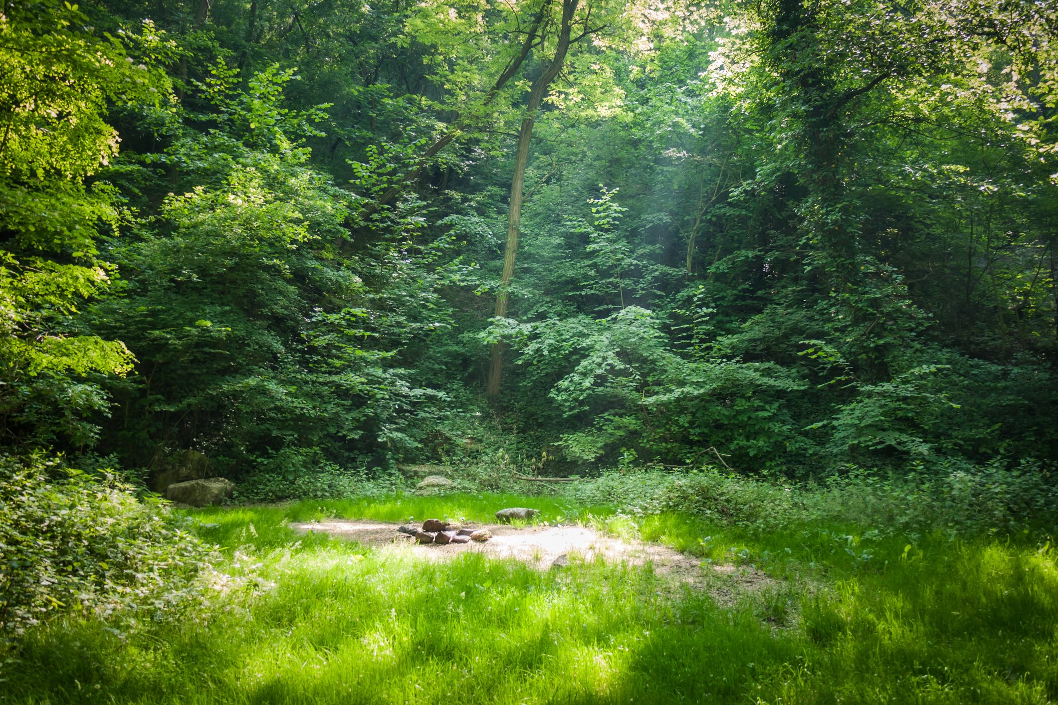 Sustainable Travel Starts With Small Choices